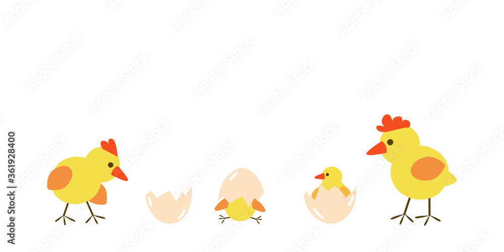 Cute flat banner - baby chickens standing on line. Small yellow bird animals hatching from egg. Set of vector kawaii newborn chicks isolated on white background for farm organic food products design Cute flat banner - baby chickens standing on line. Small yellow bird animals hatching from egg. Set of vector kawaii newborn chicks isolated on white background for farm organic food products design