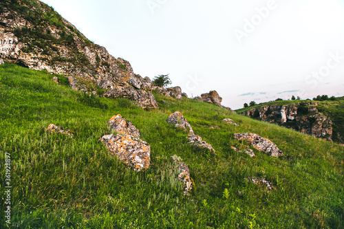 Trinca Nature Reserve in Republic of Moldova. Trinca village. Green landscape. Amazing Nature. Park with Green Grass and Trees. Grassy field and rolling hills. rural scenery. Europe nature.