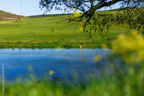 Summer green landscape with river and blue sky.