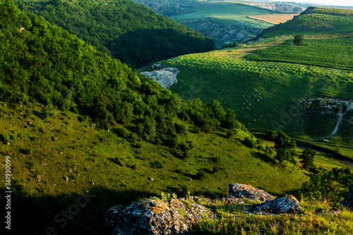 La Castel Landscape Reserve in Republic of Moldova. Green landscape. Amazing Nature. Park with Green Grass and Trees. Grassy field and rolling hills. rural scenery. Europe nature.