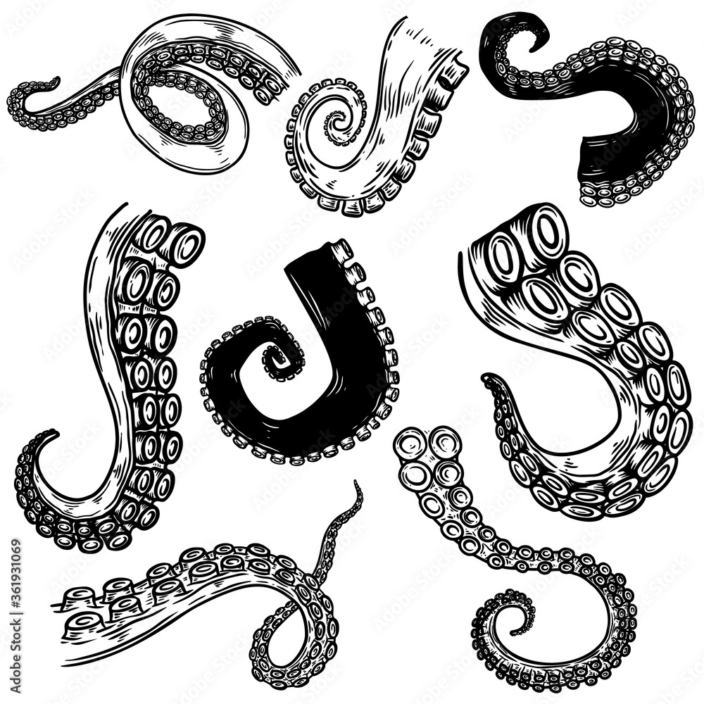 Set of octopus, squid tentacles in engraving style. Design element for logo, label, emblem, sign, badge. Vector illustration Set of octopus, squid tentacles in engraving style. Design element for logo, label, emblem, sign, badge. Vector illustration