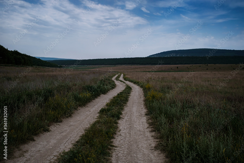 Dirt road among the spring field. Before the storm