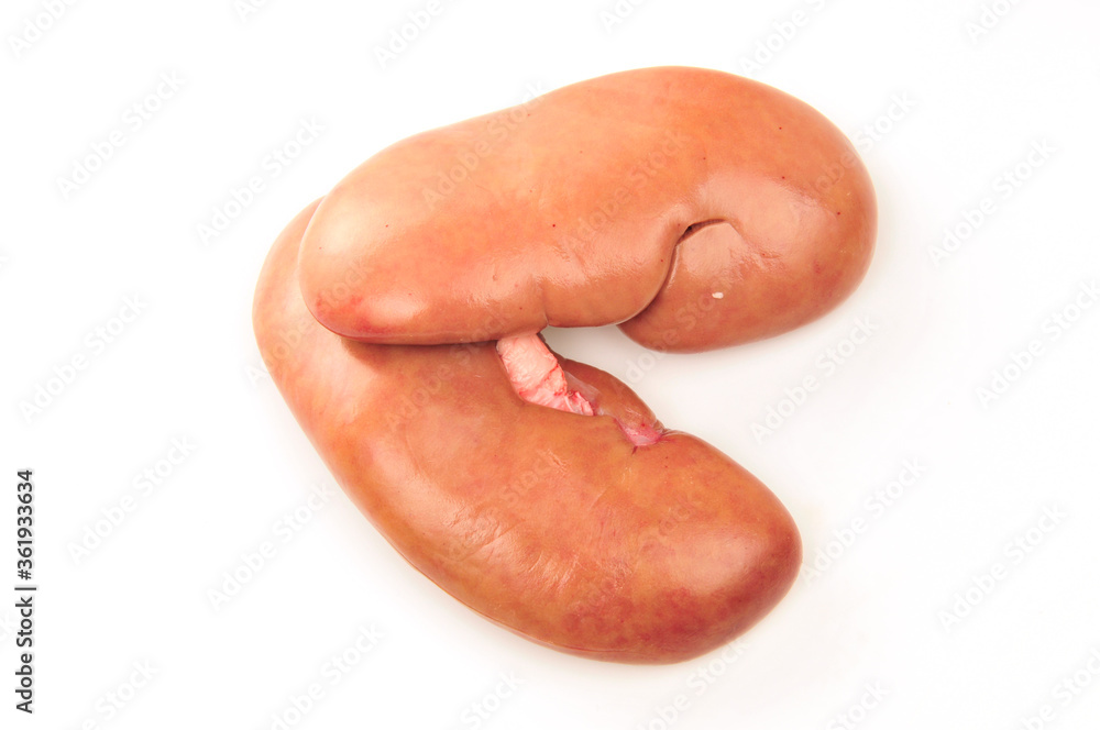 Pig kidney on a white background Pig kidney on a white background