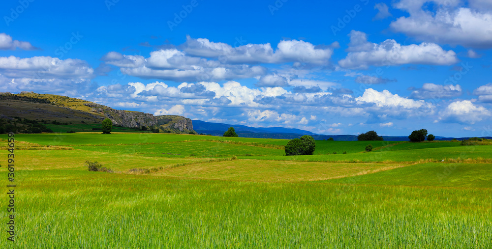 beautiful landscape, green grass and blue sky