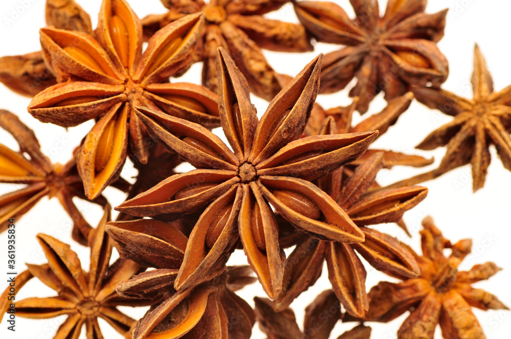 Anise isolation in the white background Anise isolation in the white background