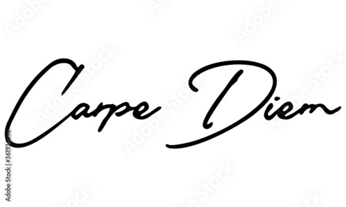 Carpe Diem Handwritten Font Calligraphy Black Color Text on White Background