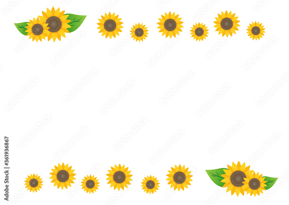 Sunflower background/vector Sunflower background/vector