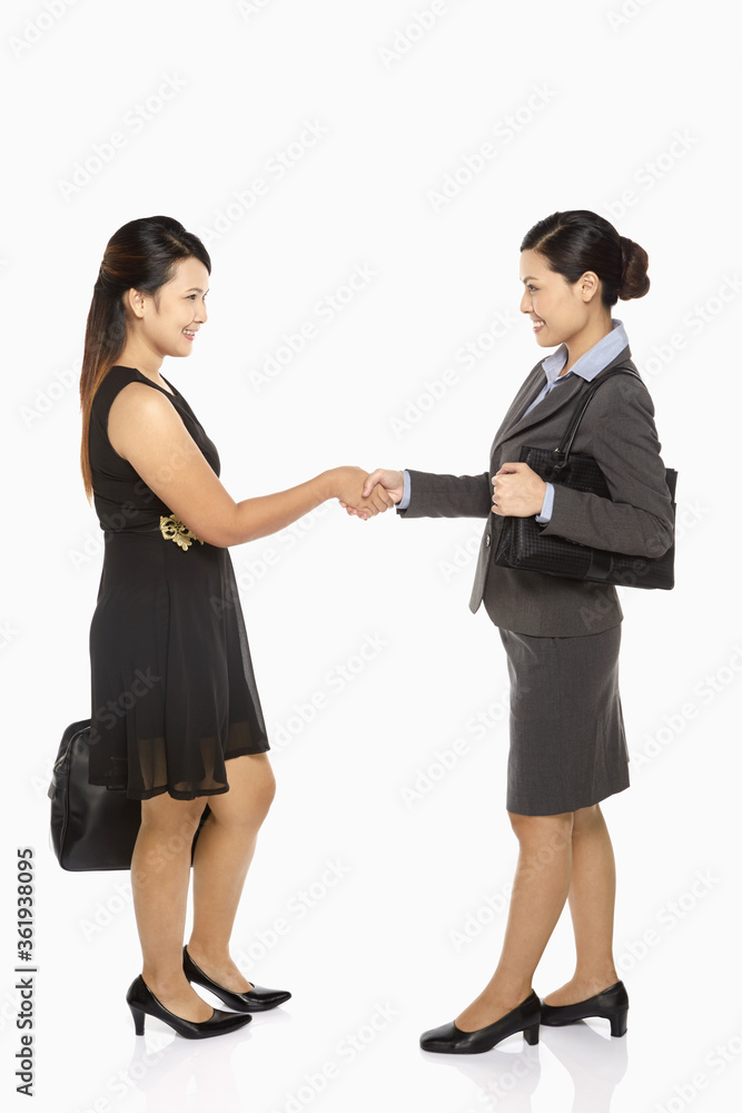 Two businesswomen shaking hands