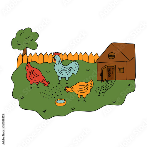Courtyard in the village with walking hens and a cock. Colorful vector illustration in cartoon style. Poultry on a walk. Summer time. Coop in the yard. Country life
