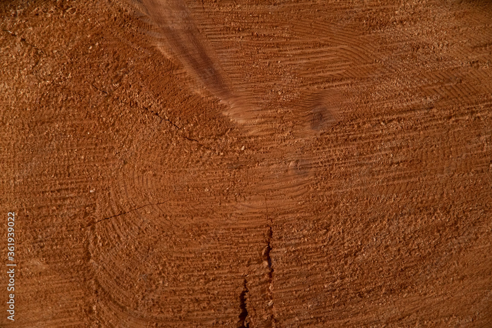 Fototapeta premium The texture of the tree. Saw logs with cracks. Warm saturated orange color.