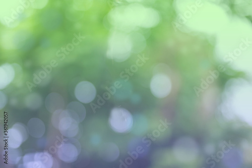 Blurred focus. Blurred abstract background and blurred nature background.
