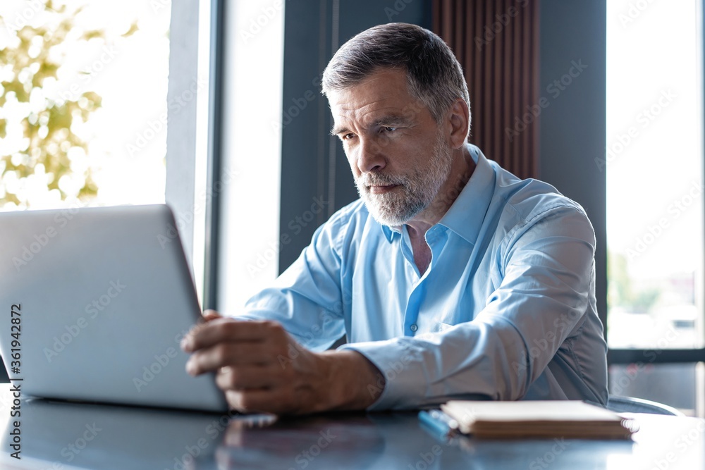 Mature businessman working on laptop. Handsome mature business leader sitting in a modern office Mature businessman working on laptop. Handsome mature business leader sitting in a modern office