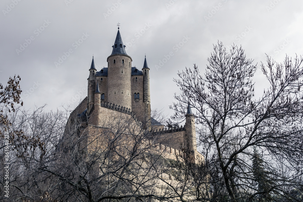 Alcazar view between the trees