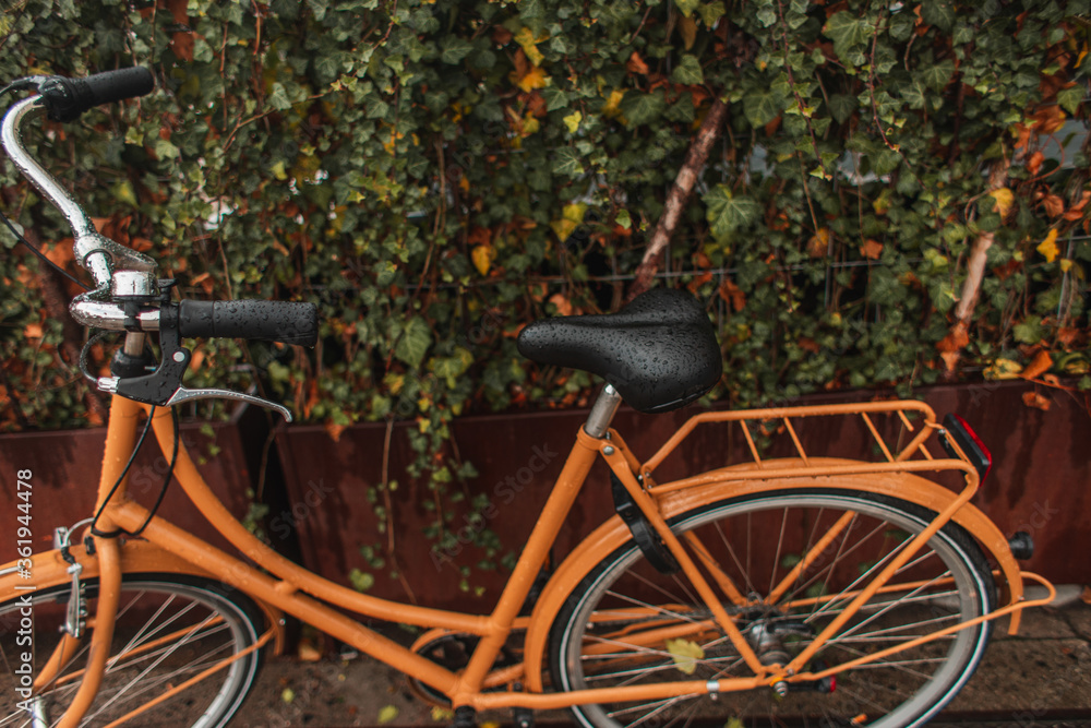 Wet orange bicycle near bushes on urban street