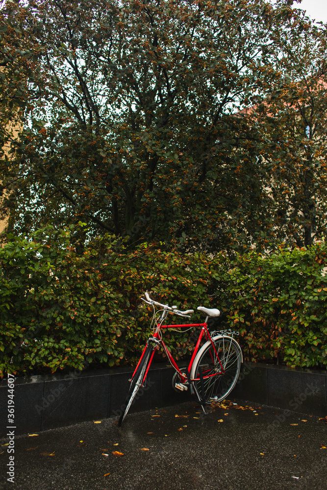 Red bicycle near green bushes and trees on urban street