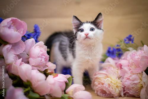 Funny little kitten with bouquet of flowers © A_Skorobogatova