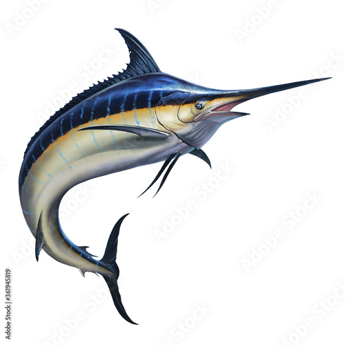 Big black marlin jumps out of the sea Fototapet