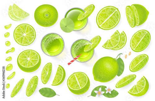 Vector set. Fresh lime and lime juice. Top view. Lime sliced in various pieces, juice in glasses, leaves, flowers, grains, drops. View from above.