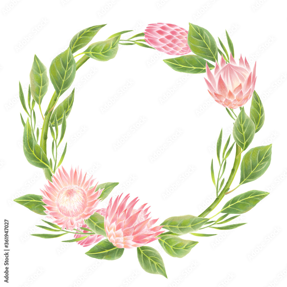 Protea flowers wheath frame with leaves