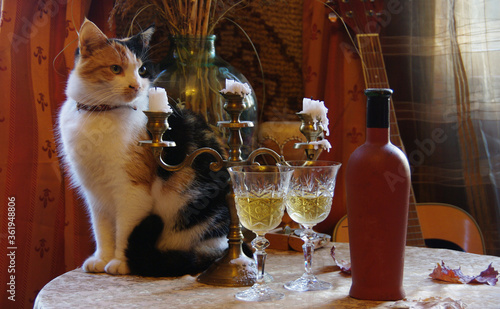 Calico Cat with 2 glasses and bottle