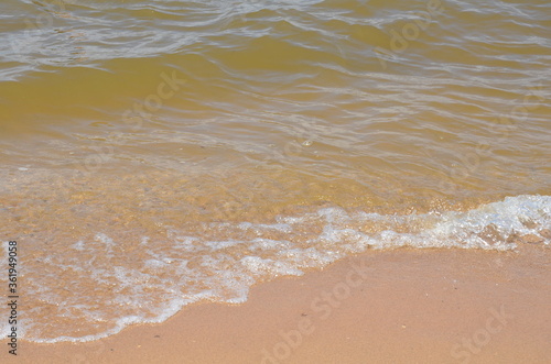 wet sand on beach with waves and shells