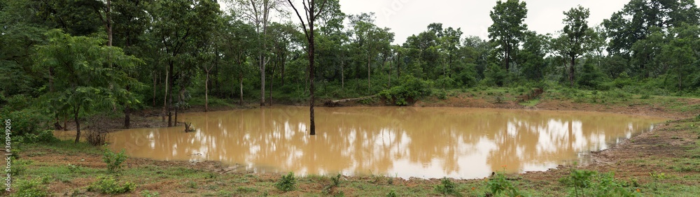 A panoramic view of Artifical Water hole full of water during monsoon at buffer zone of Bhandavgarh Tiger Reserve A panoramic view of Artifical Water hole full of water during monsoon at buffer zone of Bhandavgarh Tiger Reserve