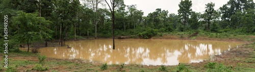 A panoramic view of Artifical Water hole full of water during monsoon at buffer zone of Bhandavgarh Tiger Reserve