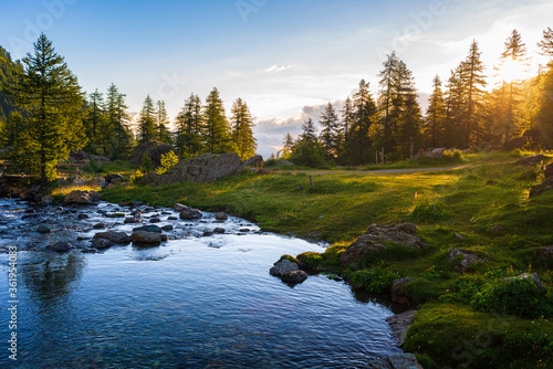 Fototapeta Naklejka Na Ścianę i Meble -  Alpine landscape, mountain stream in idyllic environment amid rocks meadows and forest. Sunburst at sunrise, the italian Alps.