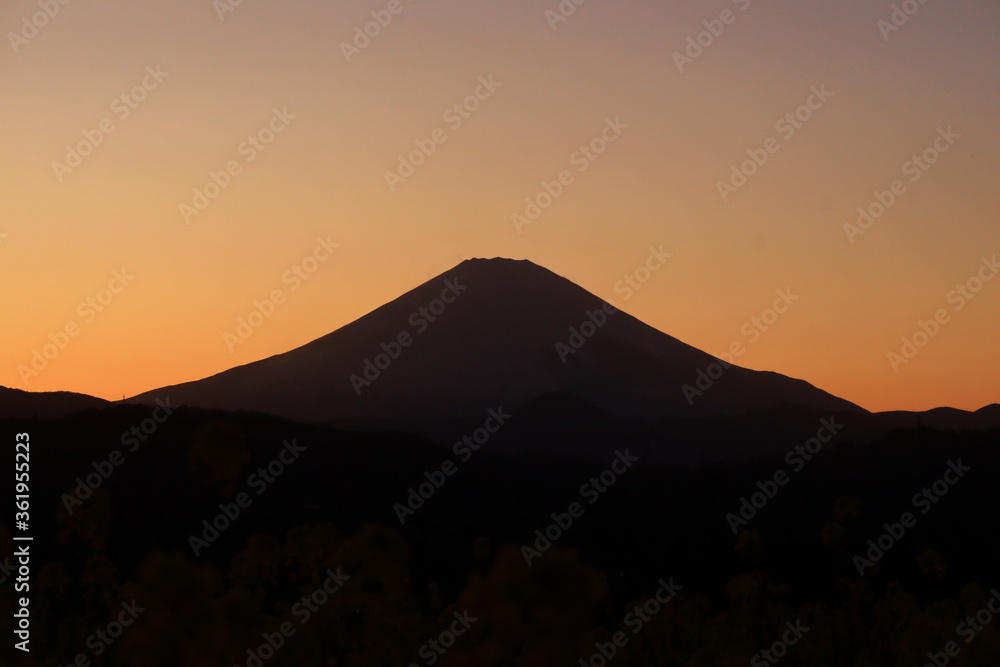 Mt fuji and sunset in the park ,japan,kanagawa