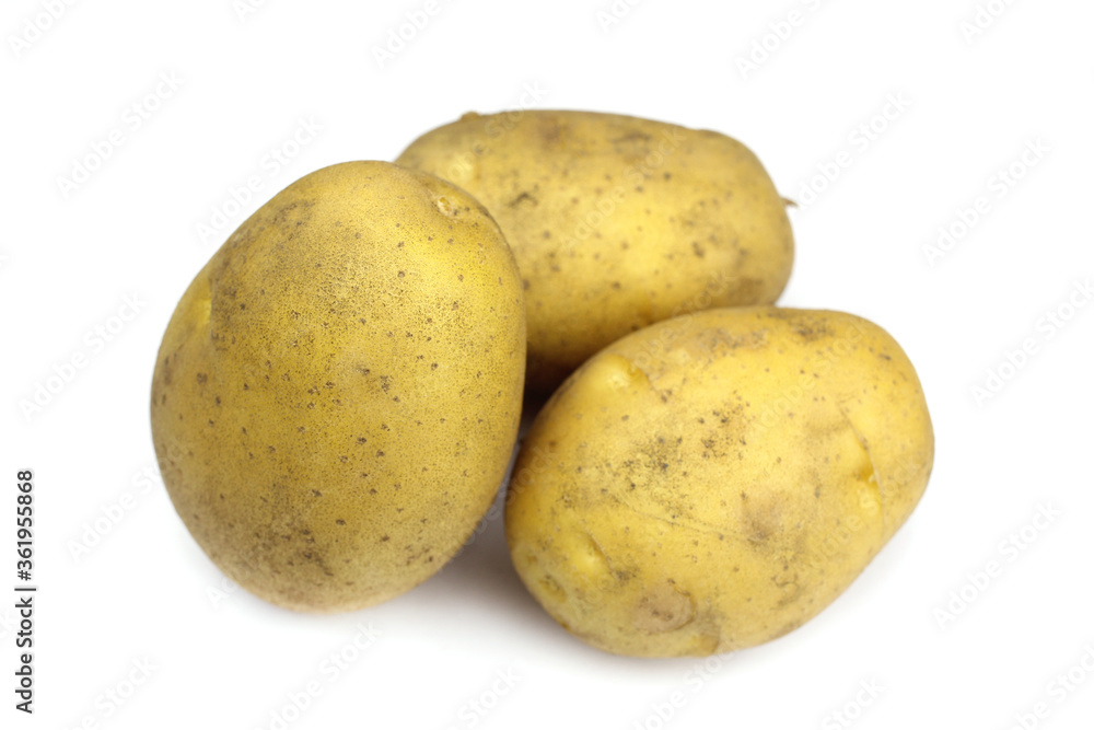 Raw organic potatoes isolated on a white background Raw organic potatoes isolated on a white background