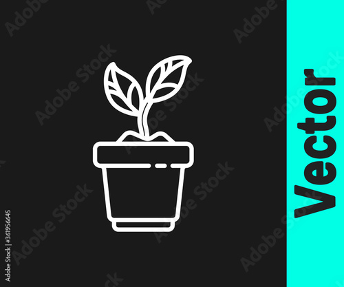 White line Plant in pot icon isolated on black background. Plant growing in a pot. Potted plant sign. Vector Illustration.