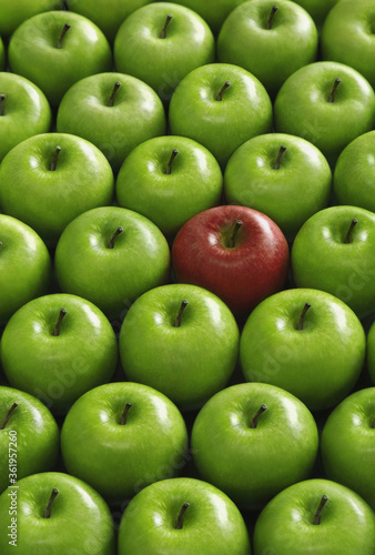 Red apple amongst green apples