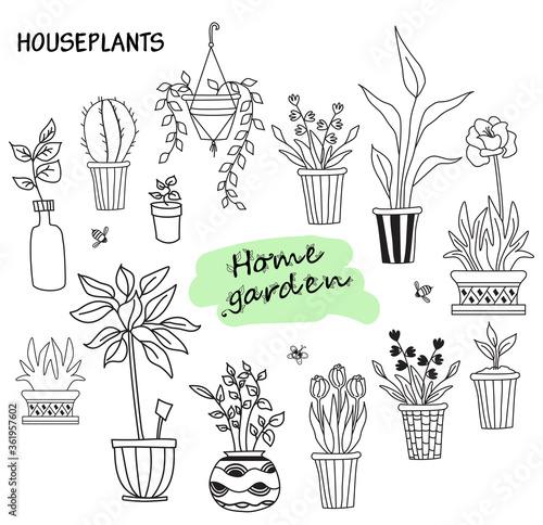 Set of cute indoor plants in pots. House of flowers and human hobbies. Botanical set - many flowerpots - cacti, tulips, flowers, seedlings, aloe, tropic. Line drawing vector