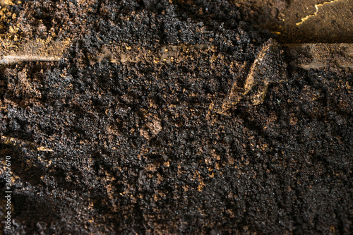 Texture of a fermented coffee beans powder, ground plant and trees fertiliser 