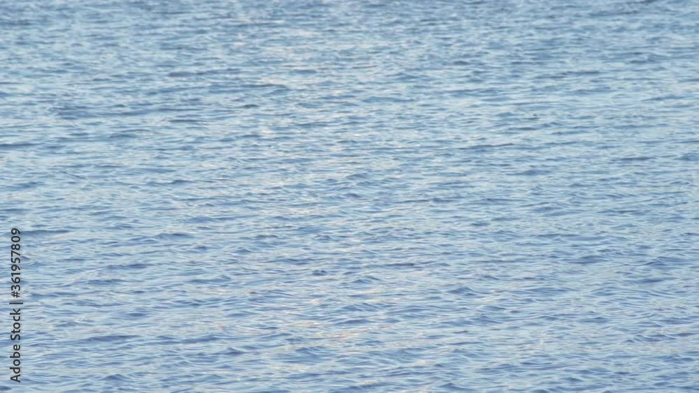 small waves on the surface of blue water small waves on the surface of blue water