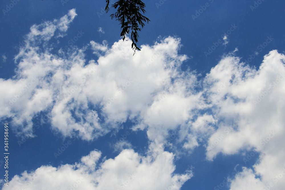 beautiful unusual forms of clouds in the summer sky beautiful unusual forms of clouds in the summer sky