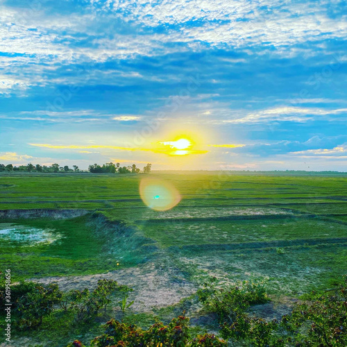 Fresh air at the rice fields in the countryside