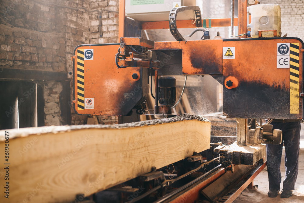 Cutting of an oak tree on a power-saw bench for production of furniture
