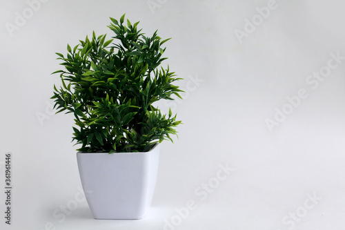 Artificial green flower in a white pot on a white background.