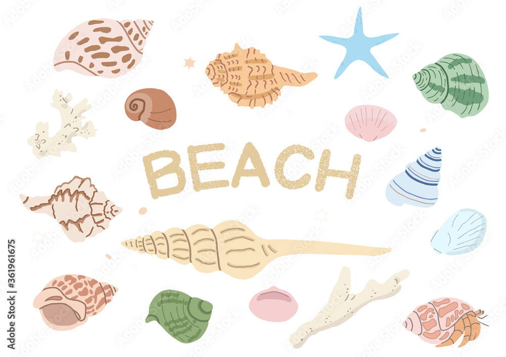 貝殻とサンゴとヒトデのイラスト Stock Vector Adobe Stock