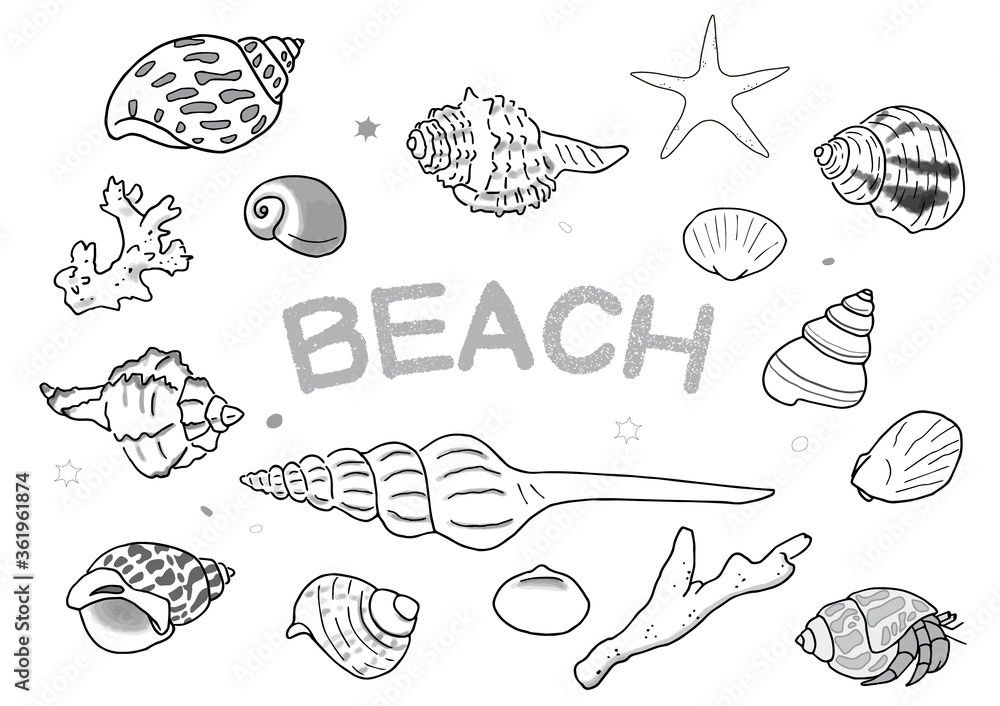 貝殻とサンゴとヒトデのイラスト