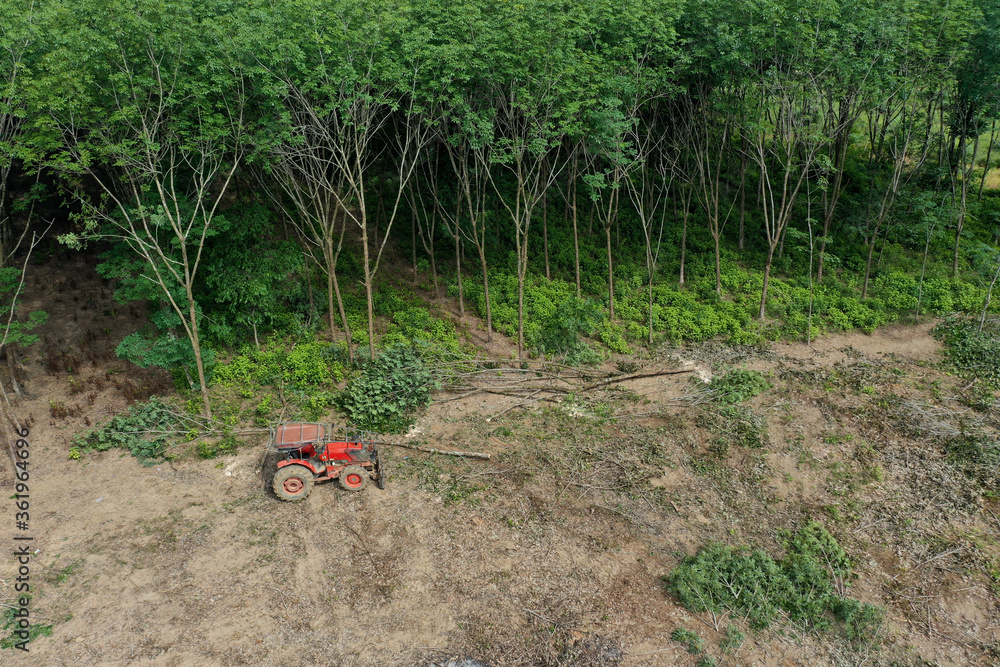 Logging or deforestation of forest. Clearing land for agriculture Logging or deforestation of forest. Clearing land for agriculture