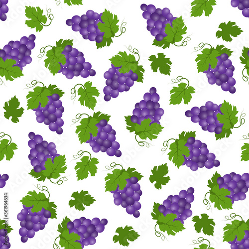Seamless pattern of grapes. Vector illustration