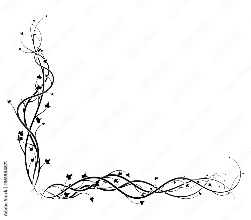 black ivy corner frame on white background vine