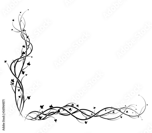 black ivy corner frame on white background vine
