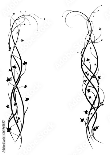 ornament frame from ivy plants on white. vector