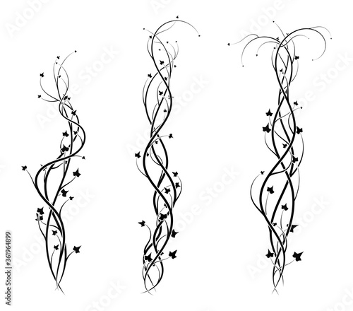 ivy weaving elements for plant decor. new vector