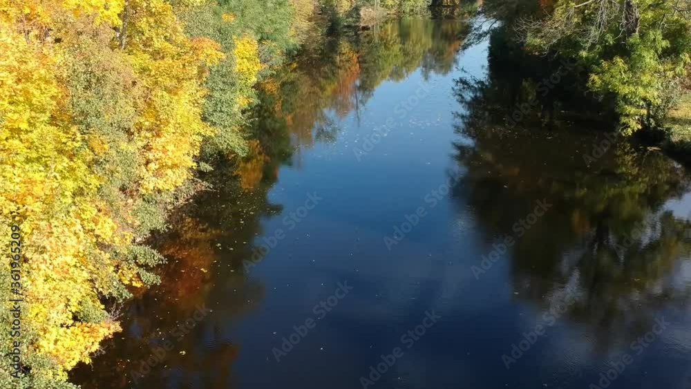 autumn colorful leaves with reflection in water autumn colorful leaves with reflection in water