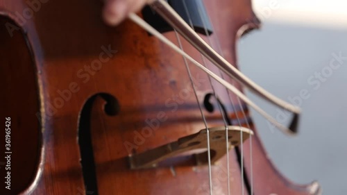 Concierto al aire libre violonchelistaChelo, música, arte, alegría, vuelta, musical, directo, músico, joven, feliz, sonido, violinista, felicidad, aire libre, libertad, inspiración, entretenido.