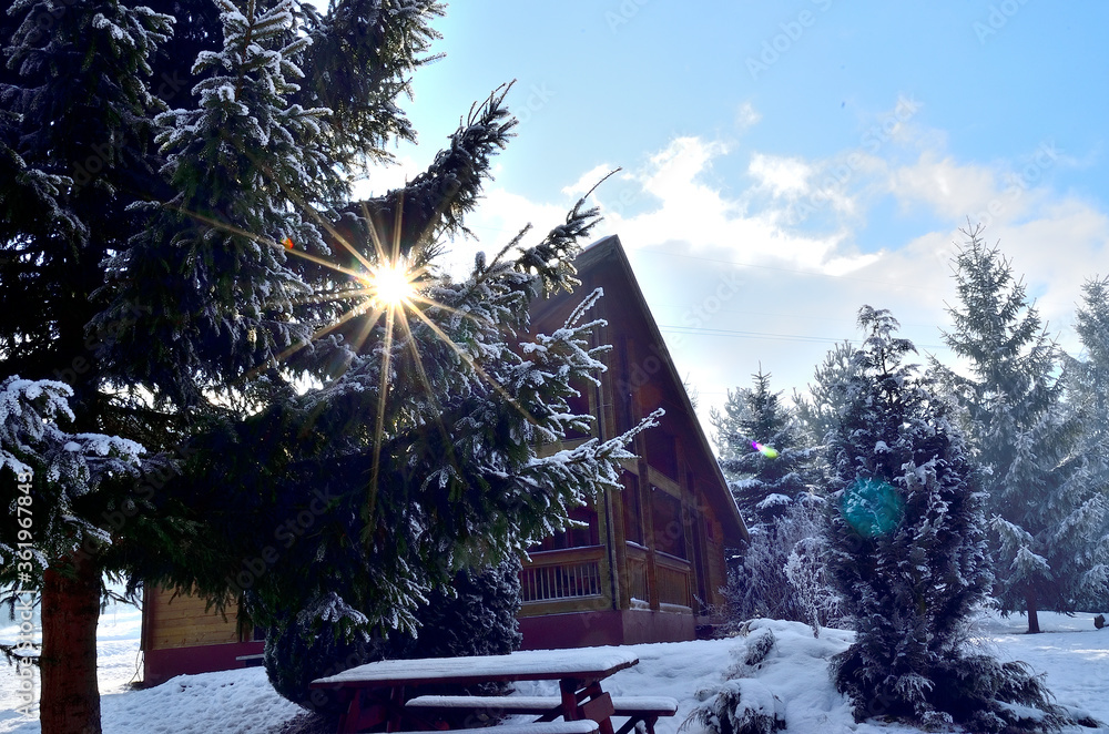 Wooden Cottage in Pine Forest covered with Snow in Transylvania.